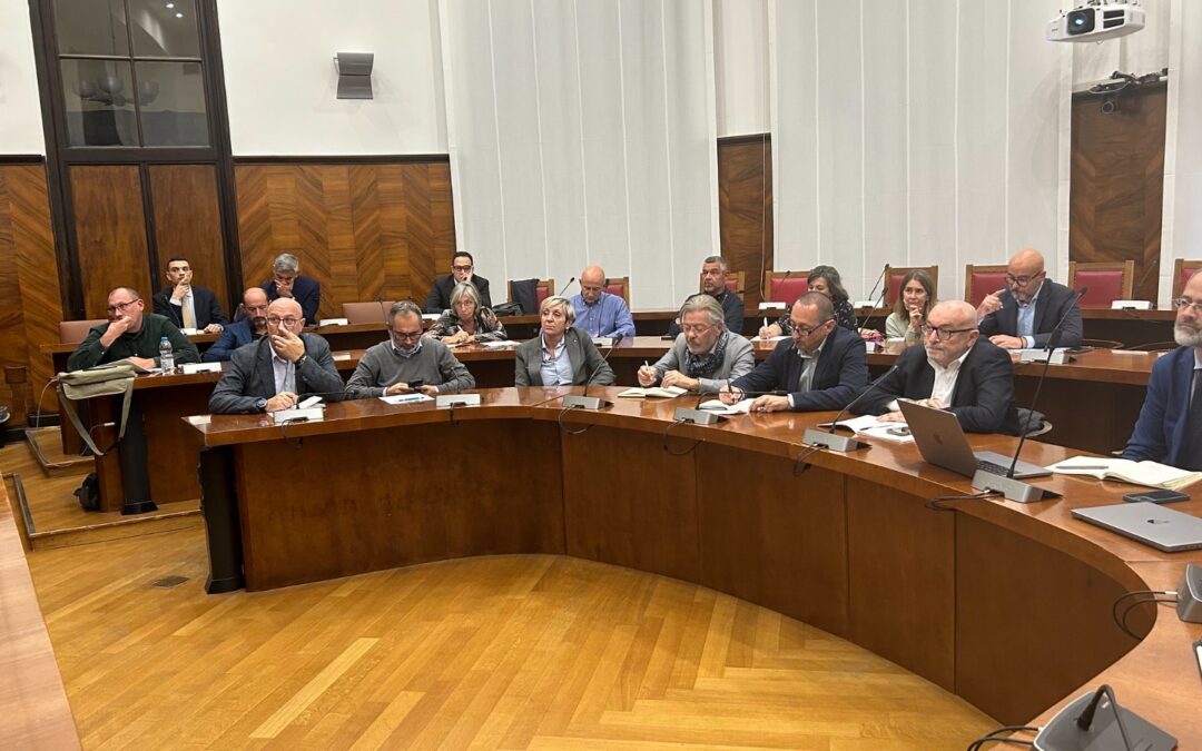 Vertenza NMS di Nerviano